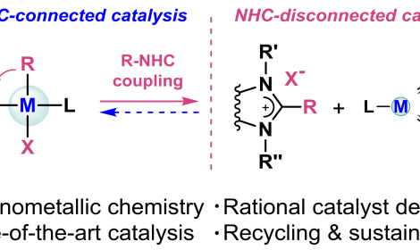 Исследователями ИОХ РАН опубликован обзор, посвященный природе каталитически активных частиц в системах металл/N-гетероциклический карбеновый лиганд