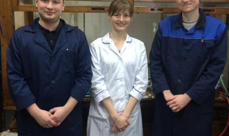 Results of the RAS Contest-2016 of Young Scientists