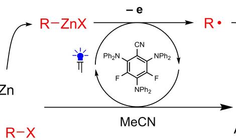 Scientists from the ZIOC have shown the possibility of using organozinc compounds in radical reactions for the first time