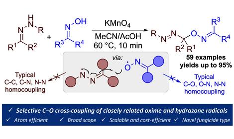 В ИОХ РАН разработан метод свободнорадикального окислительного С–O сочетания оксимов с гидразонами