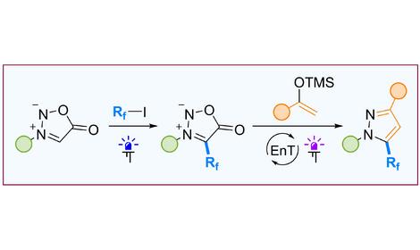 Исследователи ИОХ РАН осуществили радикальную функционализацию мезоионных гетероциклов