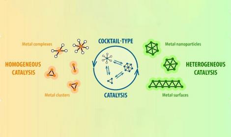 Катализаторы, которые «живут»