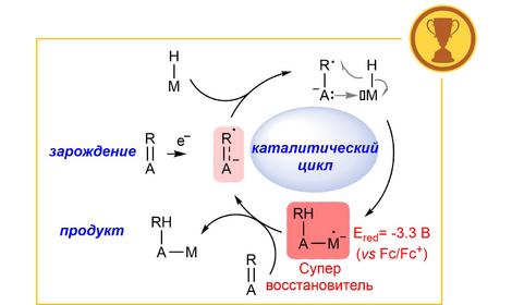 В ИОХ РАН продолжается развитие электронного катализа