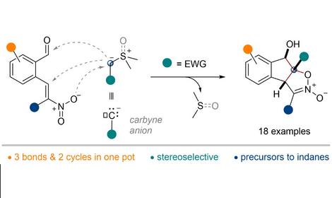 Исследователями ИОХ РАН обнаружены новые химические свойства серных илидов