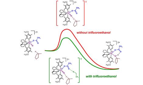При участии ИОХ РАН изучено ключевое влияние доноров водородной связи на реакционную способность биомиметических катализаторов окисления С‒Н групп