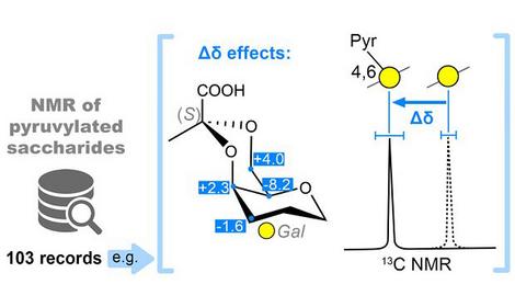 Ученые ИОХ исследовали ЯМР-маркеры пируватов сахаров